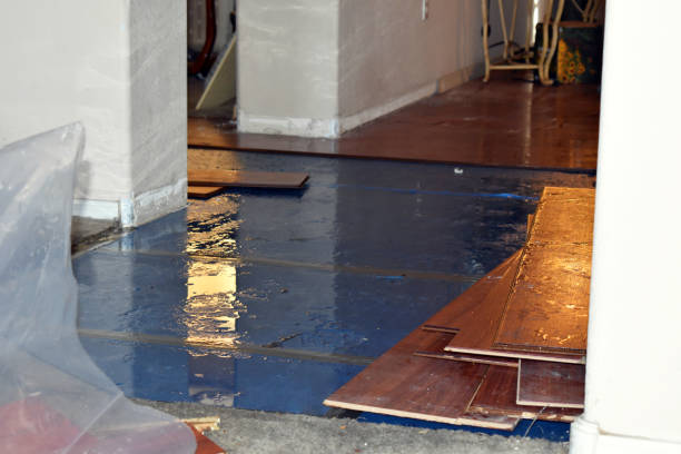 Professional Water Damage Restoration technician working in Claude, TX